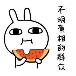 娱乐吃瓜酱改同城,同城热点一网打尽
